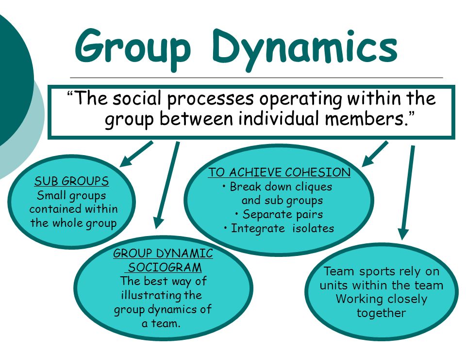 Example Essay On Group Dynamics